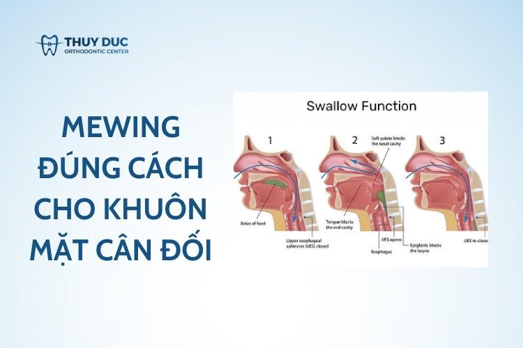 Khám phá mewing đúng cách cho khuôn mặt cân đối 1