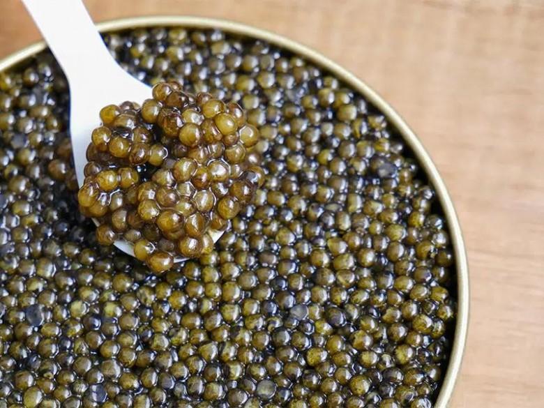 Vì sao trứng cá Caviar đắt đỏ nhất hành tinh vẫn được giới sành ăn săn lùng? - 2