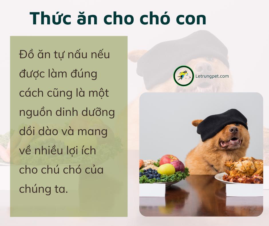 Cách làm thức ăn cho chó con NHANH - BỔ - RẺ