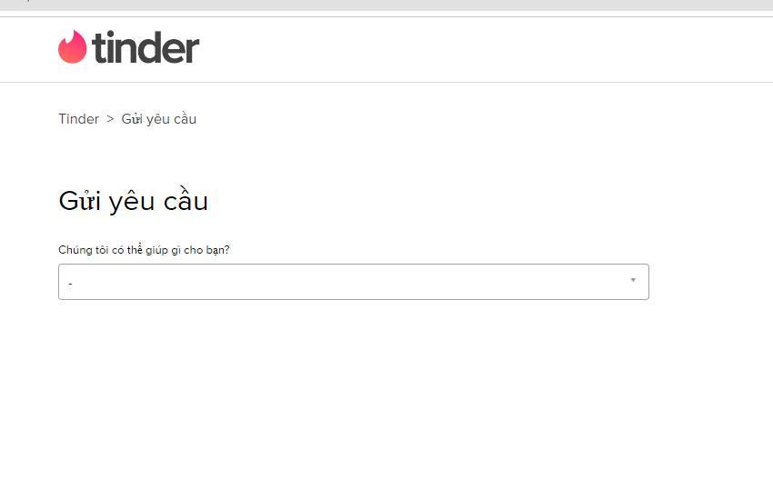 gui yeu cau den tinder