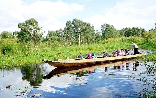 Đi thuyền dạo quanh rừng U Minh Hạ